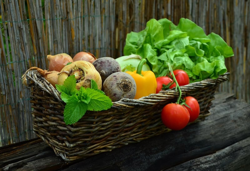 Vegetable Salad